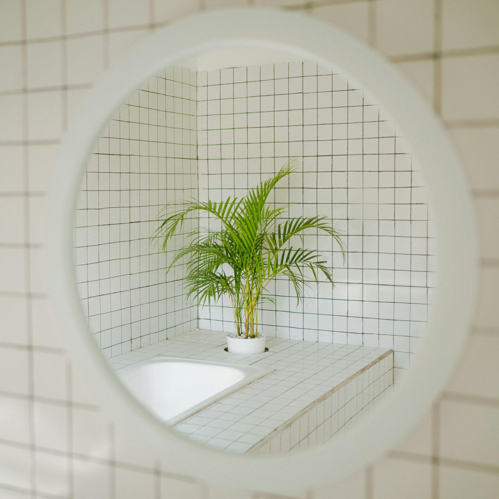 Contemporary bathroom interior with white tiles and a potted plant, captured through a round mirror.